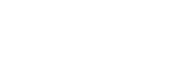 webbizsolutions.net